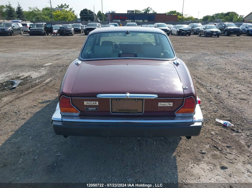 1986 Jaguar Xj12 VIN: SAJBN1049GC438111 Lot: 12050722