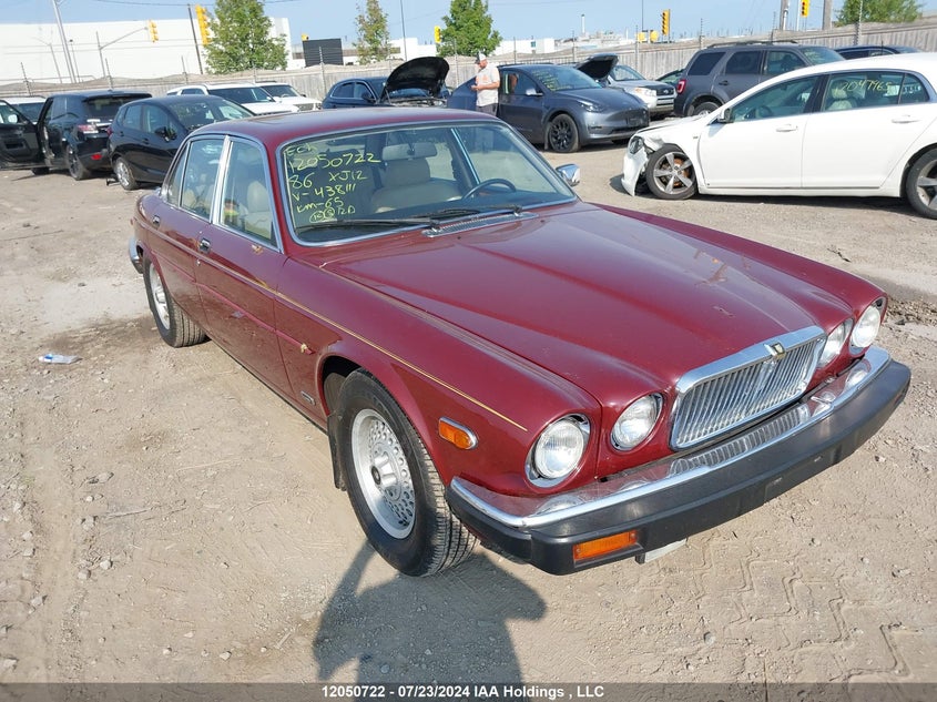 1986 Jaguar Xj12 VIN: SAJBN1049GC438111 Lot: 12050722