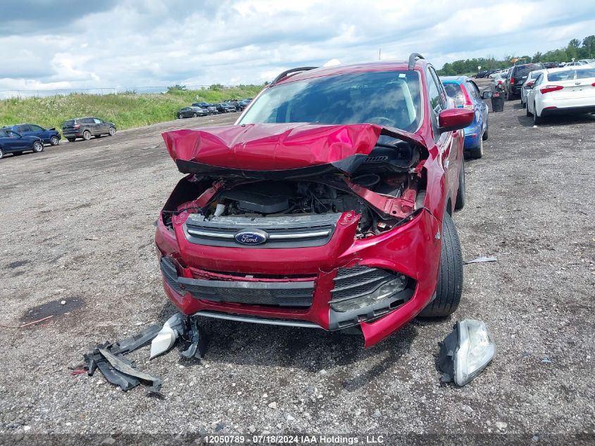 2014 Ford Escape Se VIN: 1FMCU0GX5EUD90206 Lot: 12050789