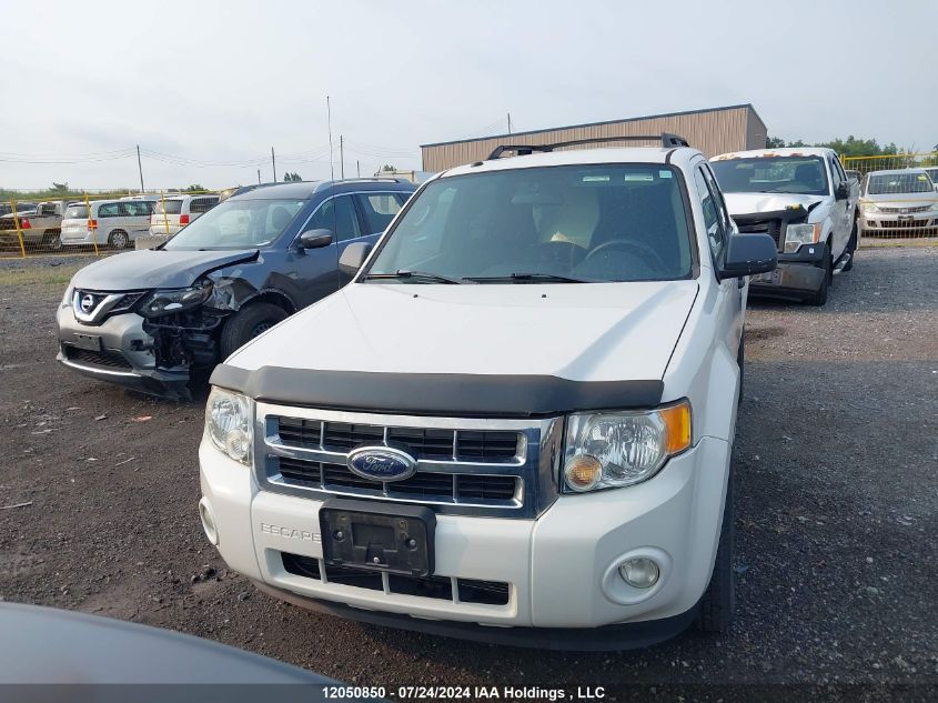 2009 Ford Escape Xlt VIN: 1FMCU93G89KB91419 Lot: 12050850