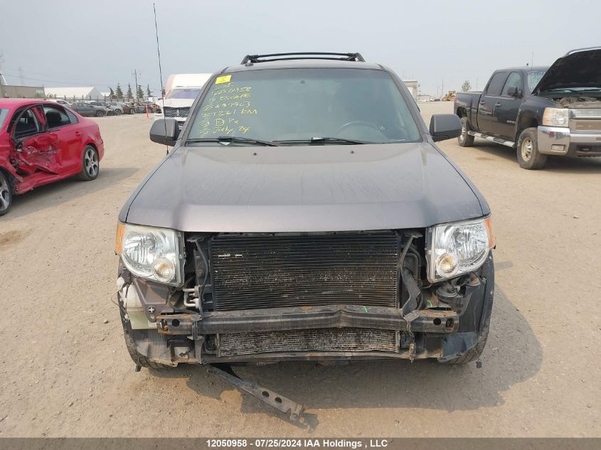 2010 Ford Escape Xlt VIN: 1FMCU0DG1AKA39903 Lot: 12050958