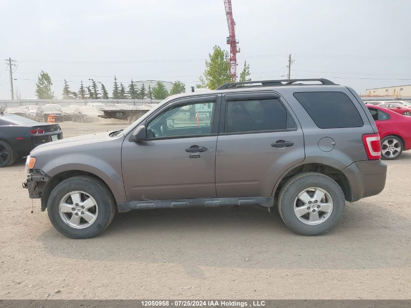 2010 Ford Escape Xlt VIN: 1FMCU0DG1AKA39903 Lot: 12050958