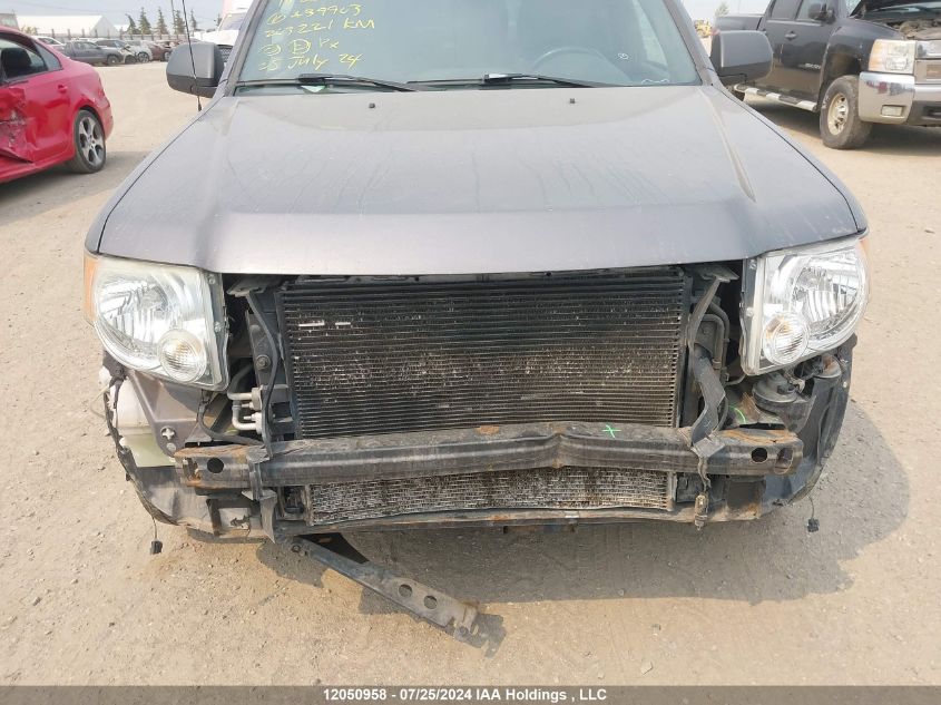 2010 Ford Escape Xlt VIN: 1FMCU0DG1AKA39903 Lot: 12050958