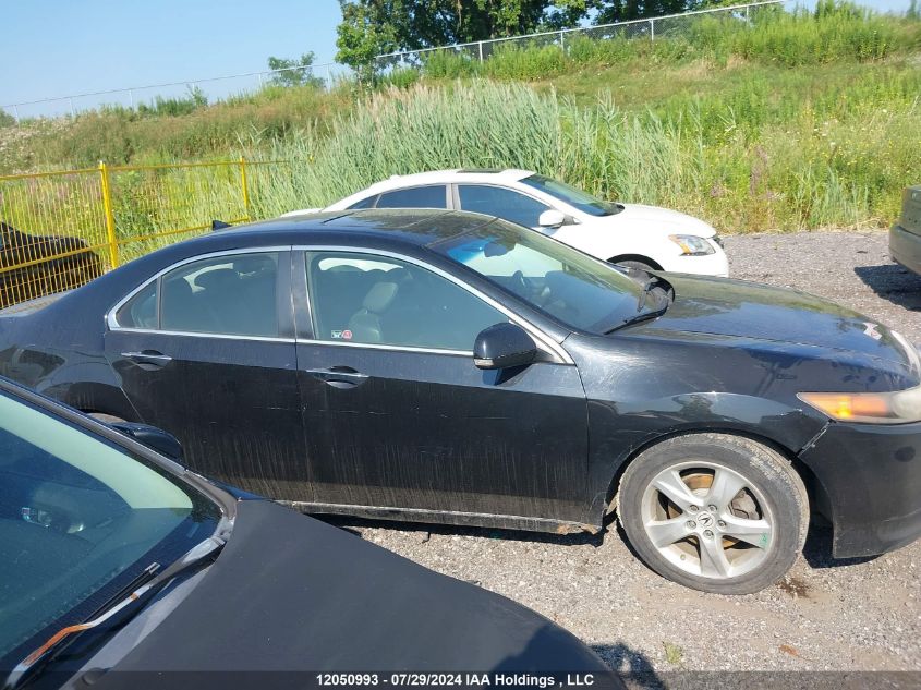 2009 Acura Tsx VIN: JH4CU26629C802469 Lot: 12050993