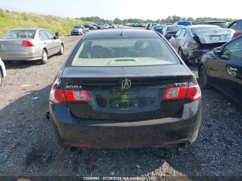 2009 Acura Tsx VIN: JH4CU26629C802469 Lot: 12050993