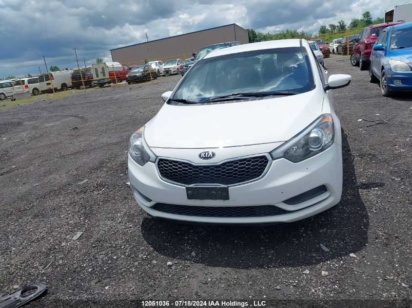 2014 Kia Forte VIN: KNAFK4A6XE5248200 Lot: 12051036