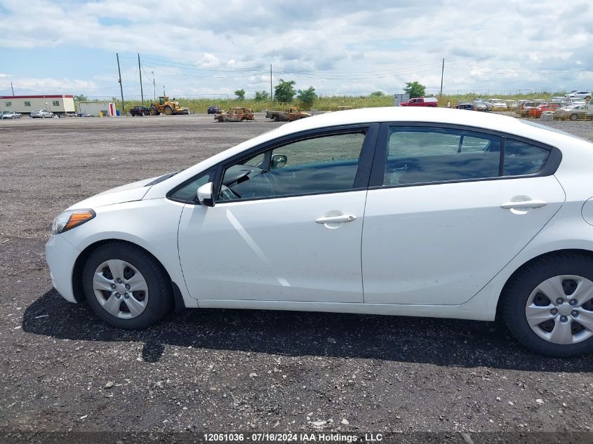 2014 Kia Forte VIN: KNAFK4A6XE5248200 Lot: 12051036