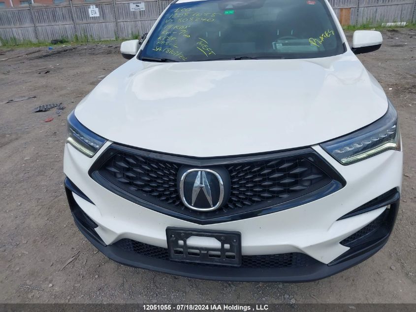 2019 Acura Rdx VIN: 5J8TC2H6XKL808240 Lot: 12051055