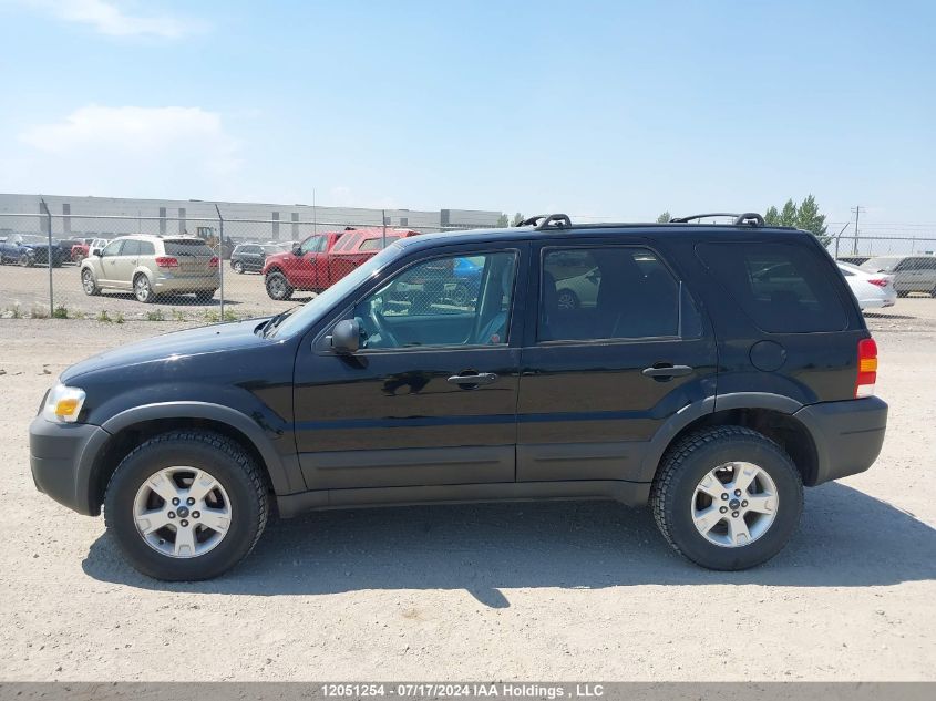 2007 Ford Escape VIN: 1FMYU03127KA96459 Lot: 12051254