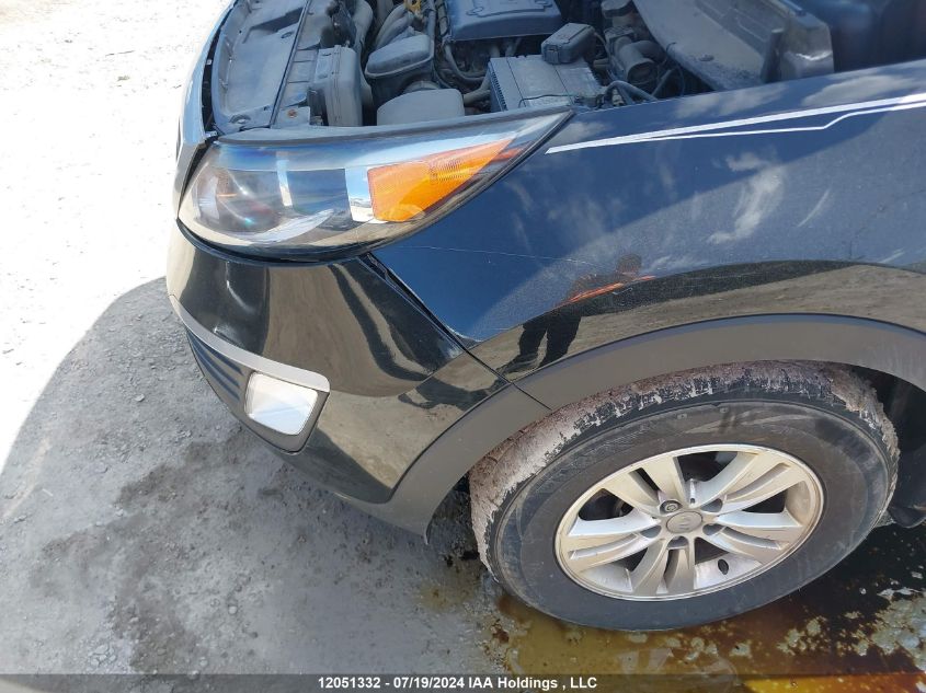 2013 Kia Sportage VIN: KNDPB3A27D7353973 Lot: 12051332