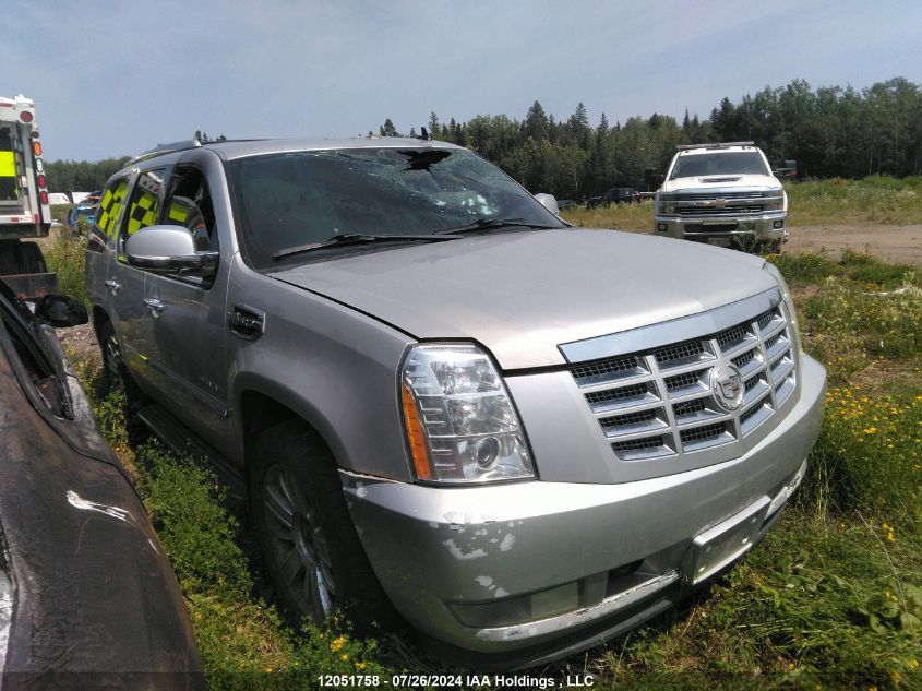 2011 Cadillac Escalade VIN: 1GYS4EEJ8BR203271 Lot: 12051758