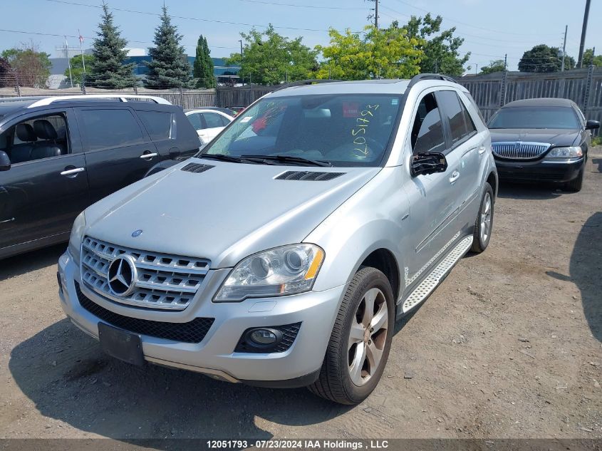 2009 Mercedes-Benz M-Class VIN: 4JGBB25E29A516849 Lot: 12051793