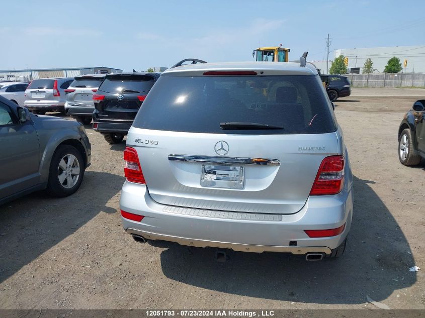 2009 Mercedes-Benz M-Class VIN: 4JGBB25E29A516849 Lot: 12051793