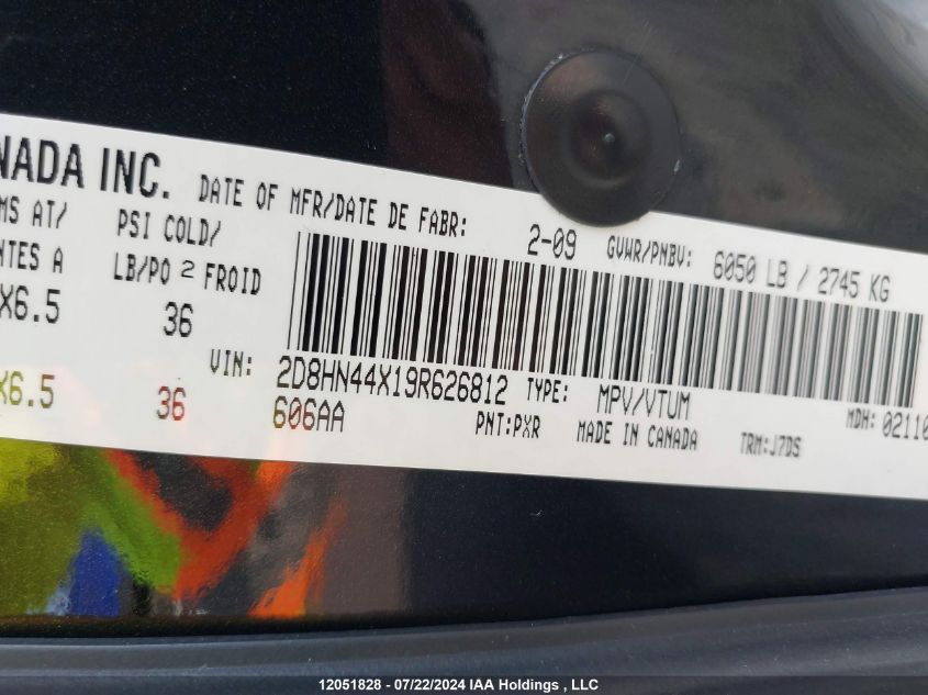 2009 Dodge Caravan VIN: 2D8HN44X19R626812 Lot: 12051828