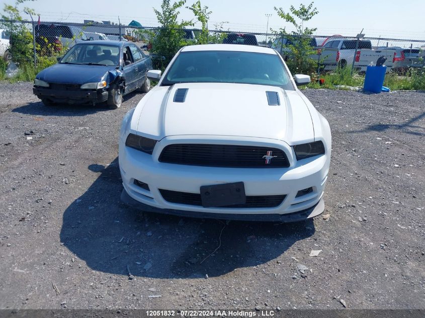 2014 Ford Mustang Gt VIN: 1ZVBP8CF7E5312620 Lot: 12051832