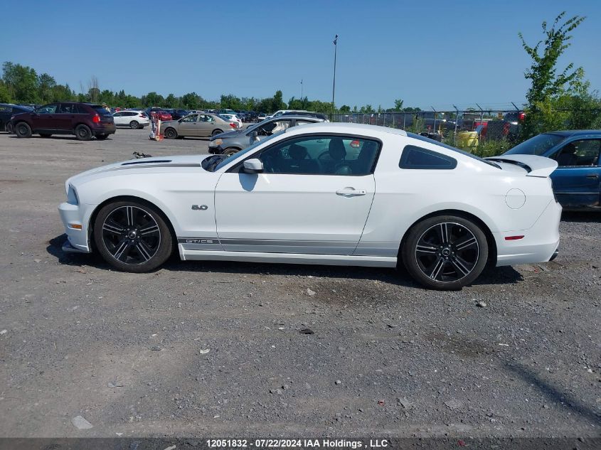 2014 Ford Mustang Gt VIN: 1ZVBP8CF7E5312620 Lot: 12051832