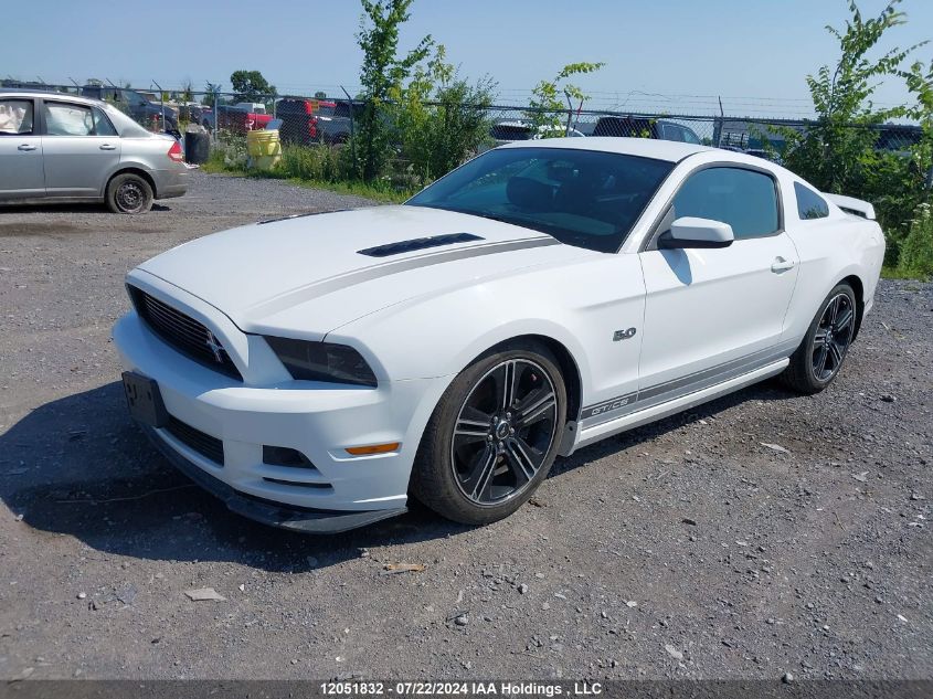 2014 Ford Mustang Gt VIN: 1ZVBP8CF7E5312620 Lot: 12051832