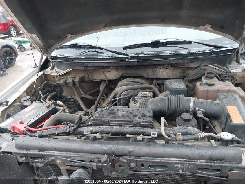 2010 Ford F-150 VIN: 1FTEW1E81AFB19313 Lot: 12051854