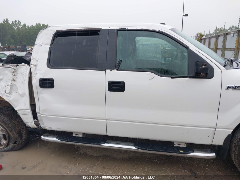 2010 Ford F-150 VIN: 1FTEW1E81AFB19313 Lot: 12051854