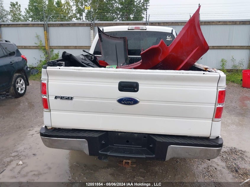 2010 Ford F-150 VIN: 1FTEW1E81AFB19313 Lot: 12051854