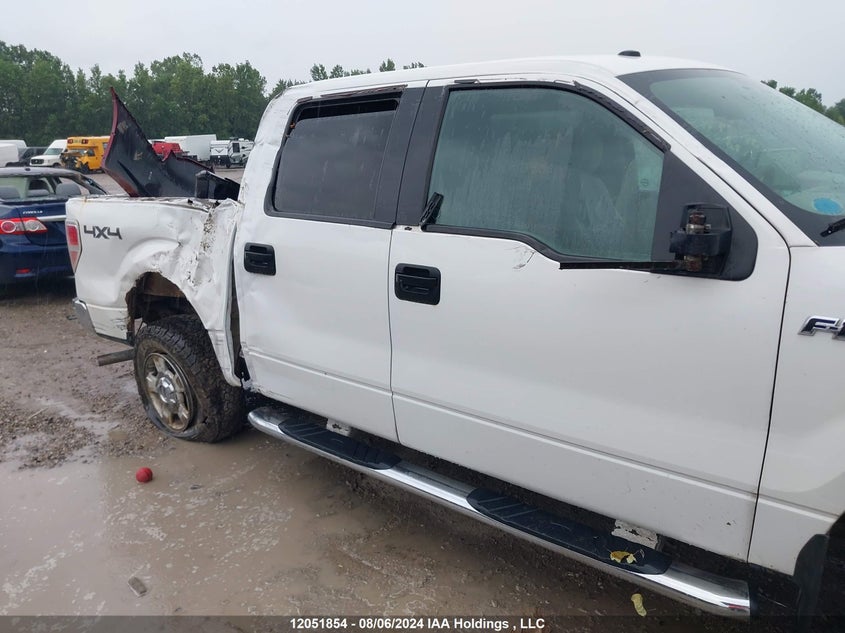 2010 Ford F-150 VIN: 1FTEW1E81AFB19313 Lot: 12051854