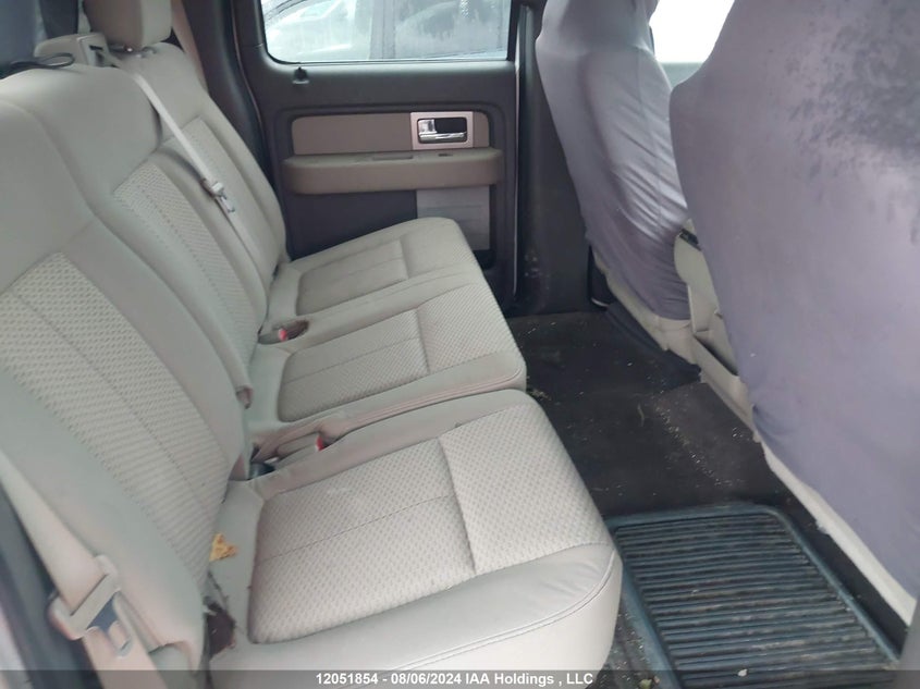 2010 Ford F-150 VIN: 1FTEW1E81AFB19313 Lot: 12051854