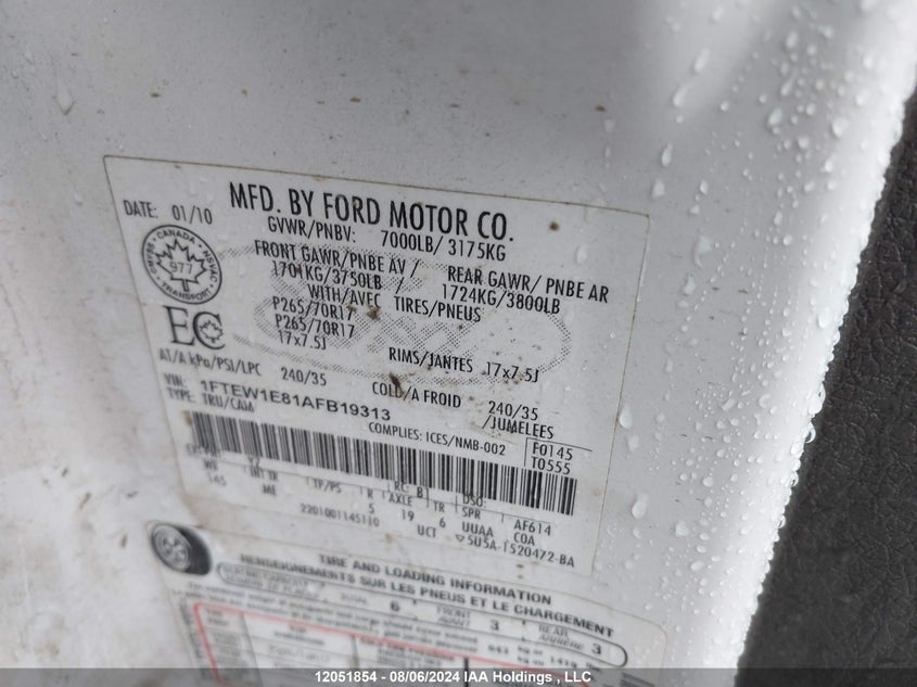 2010 Ford F-150 VIN: 1FTEW1E81AFB19313 Lot: 12051854