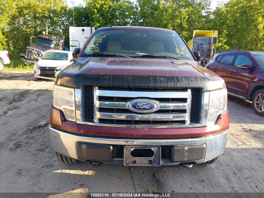 2010 Ford F-150 Stx/Xl/Xlt VIN: 1FTEX1E86AFC13734 Lot: 12052118
