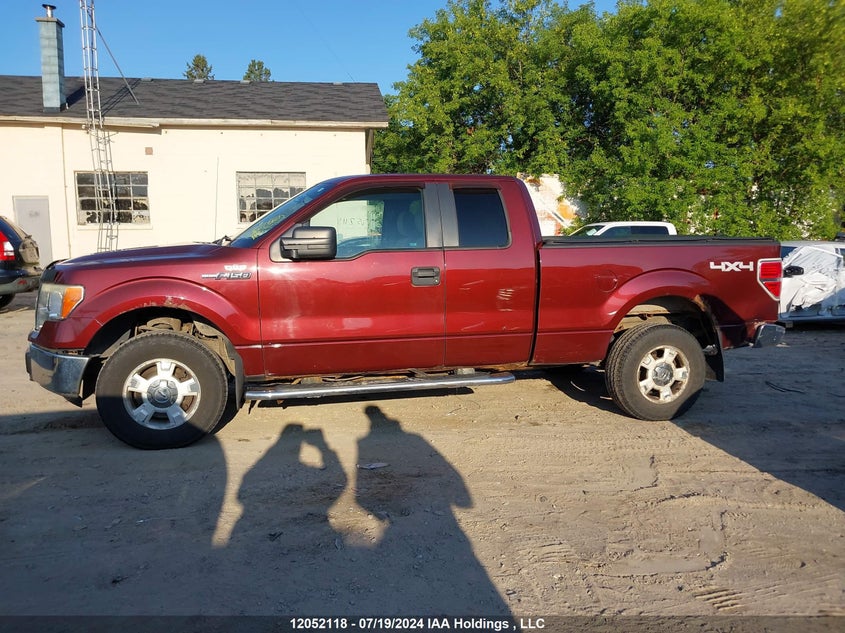 2010 Ford F-150 Stx/Xl/Xlt VIN: 1FTEX1E86AFC13734 Lot: 12052118