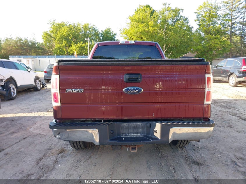 2010 Ford F-150 Stx/Xl/Xlt VIN: 1FTEX1E86AFC13734 Lot: 12052118