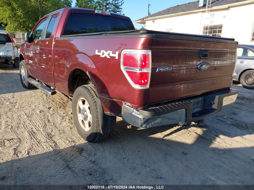 2010 Ford F-150 Stx/Xl/Xlt VIN: 1FTEX1E86AFC13734 Lot: 12052118