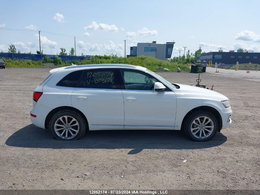 2013 Audi Q5 VIN: WA1LFCFP7DA075175 Lot: 12052174