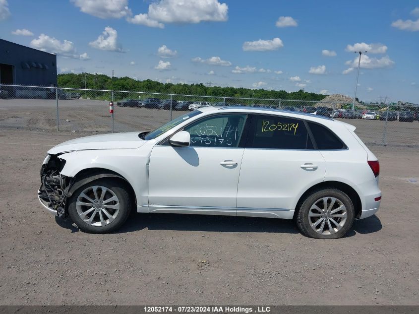 2013 Audi Q5 VIN: WA1LFCFP7DA075175 Lot: 12052174