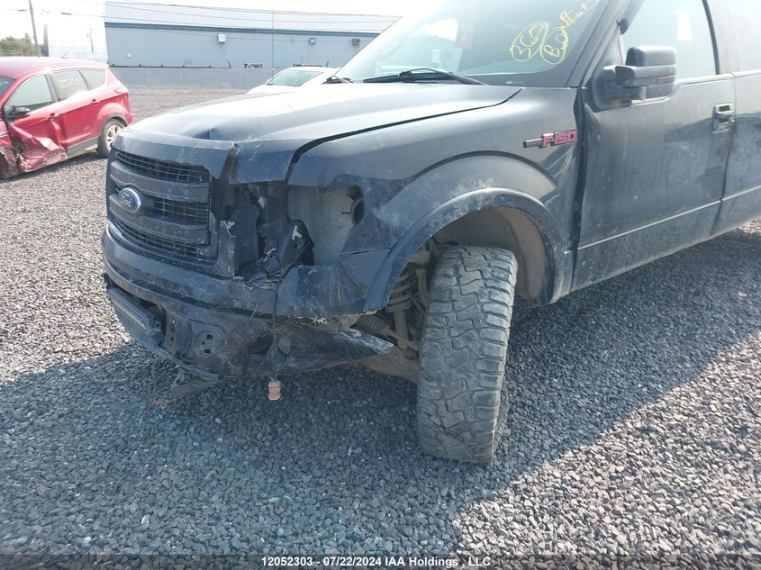 2013 Ford F-150 Fx4 VIN: 1FTFW1ET9DFB32212 Lot: 12052303