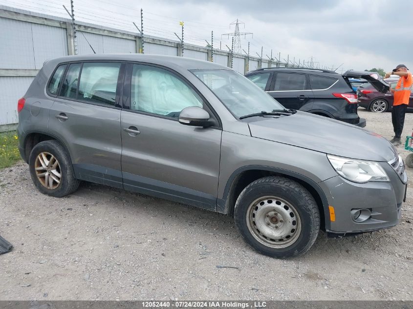 2011 Volkswagen Tiguan VIN: WVGBV7AX7BW516804 Lot: 12052440