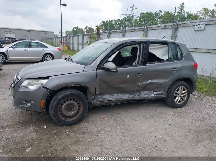 2011 Volkswagen Tiguan VIN: WVGBV7AX7BW516804 Lot: 12052440