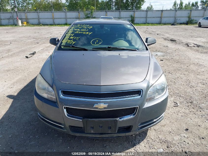 2010 Chevrolet Malibu Ls VIN: 1G1ZB5E0XAF200334 Lot: 12052509
