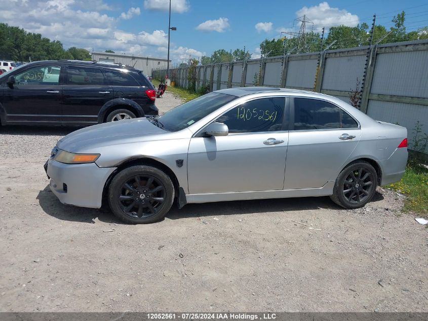 2006 Acura Tsx VIN: JH4CL96846C801221 Lot: 12052561