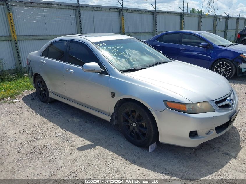 2006 Acura Tsx VIN: JH4CL96846C801221 Lot: 12052561