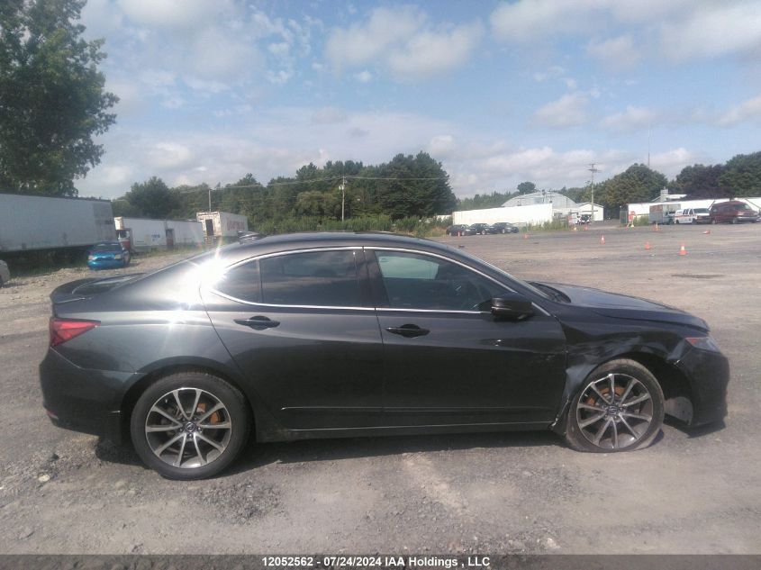 2015 Acura Tlx Tech VIN: 19UUB3F51FA800083 Lot: 12052562