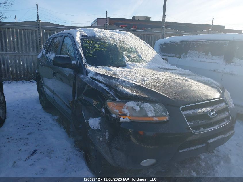 2009 Hyundai Santa Fe VIN: 5NMSG13E29H284987 Lot: 12052712