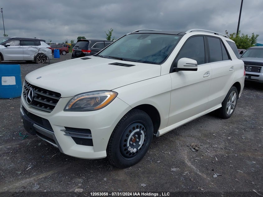 2014 Mercedes-Benz Ml-Class VIN: 4JGDA2EB3EA295791 Lot: 12053058