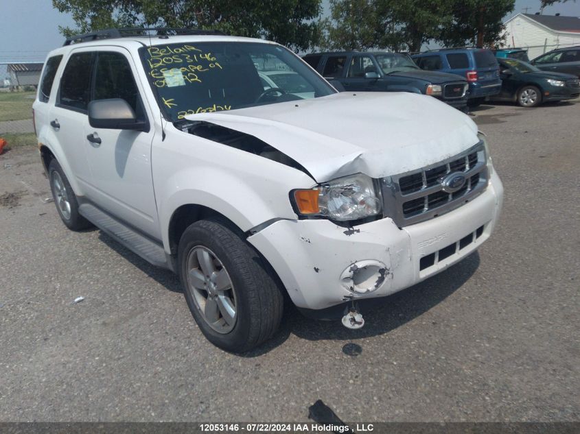 2009 Ford Escape Xlt VIN: 1FMCU93G69KA05392 Lot: 12053146