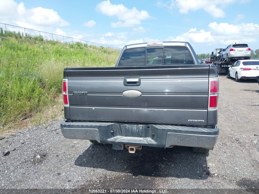 2010 Ford F-150 VIN: 1FTFW1CV1AFC59309 Lot: 12053221