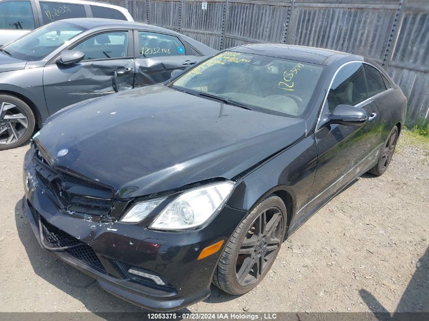 2010 Mercedes-Benz E-Class E 550 VIN: WDDKJ7CB3AF009002 Lot: 12053375