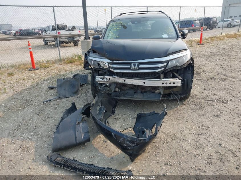 2017 Honda Pilot Exln VIN: 5FNYF6H72HB502821 Lot: 12053479