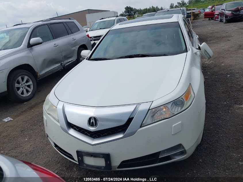 2010 Acura Tl VIN: 19UUA9F26AA801282 Lot: 12053485