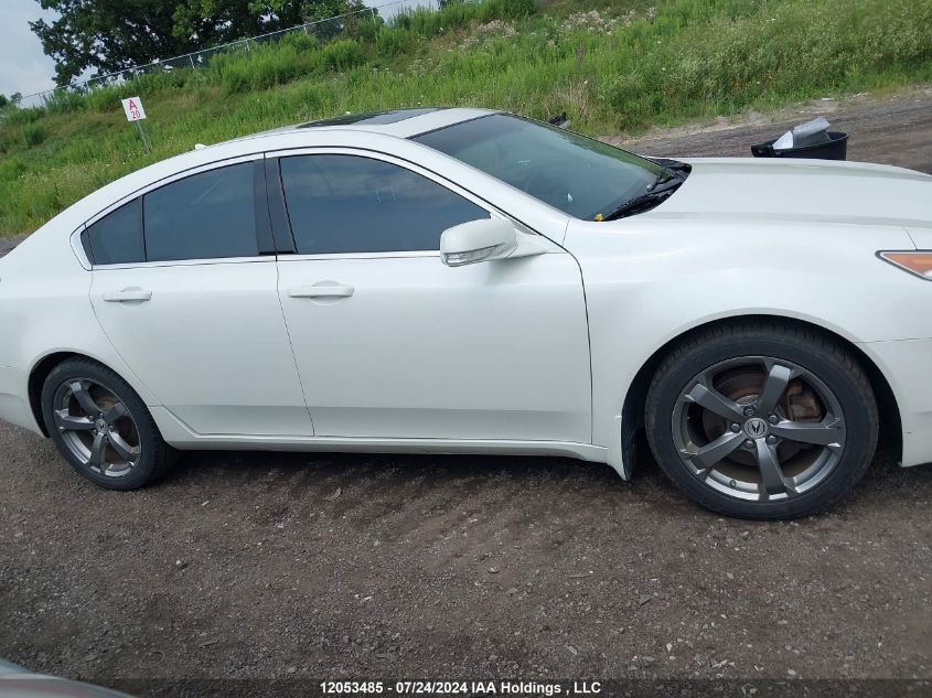 2010 Acura Tl VIN: 19UUA9F26AA801282 Lot: 12053485