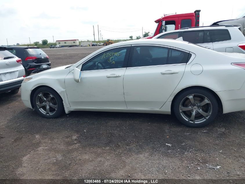 2010 Acura Tl VIN: 19UUA9F26AA801282 Lot: 12053485