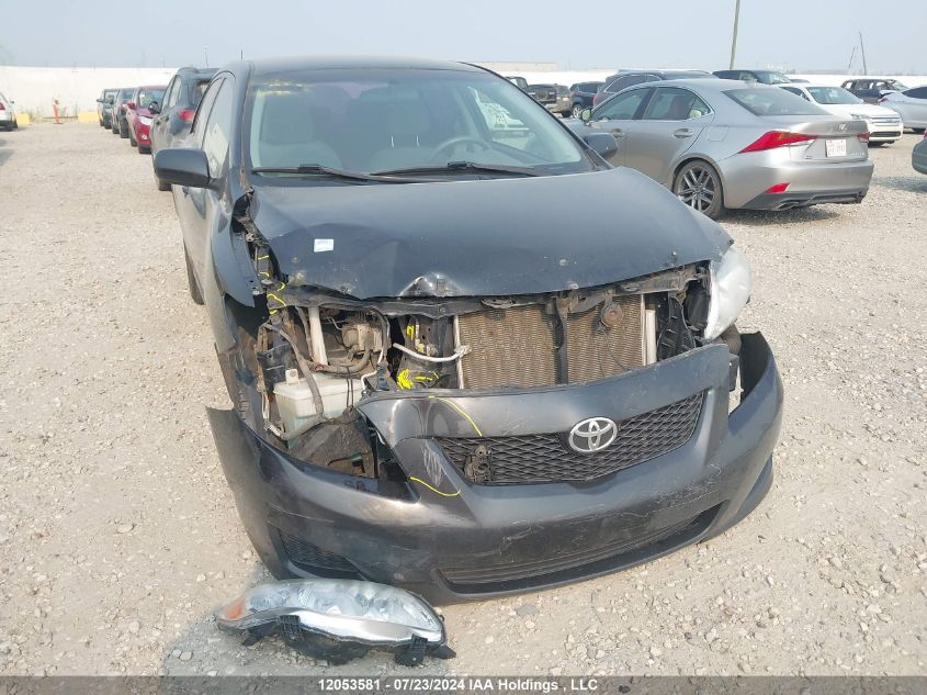 2009 Toyota Corolla S/Le/Xle VIN: 2T1BU40E29C093767 Lot: 12053581